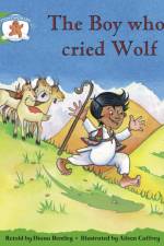 Literacy Edition Storyworlds Stage 3: Boy Wolf