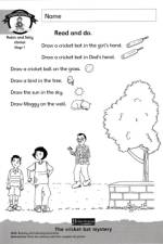 Literacy Edition Storyworlds Stage 7, Animal World, Workbook af Diana Bentley
