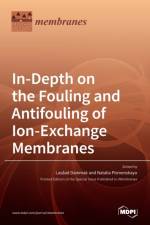 In-Depth on the Fouling and Antifouling of Ion-Exchange Membranes af LAS AAD DAMMAK