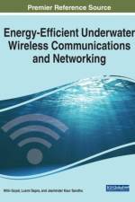 Energy-Efficient Underwater Wireless Communications and Networking