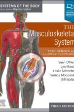 The Musculoskeletal System af Lyn March