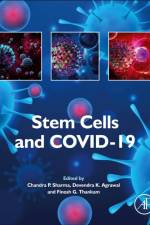Stem Cells and COVID-19