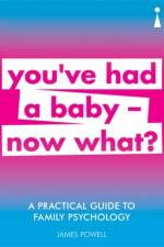 A Practical Guide to Family Psychology