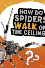 How Do Spiders Walk on the Ceiling? af Nancy Dickmann