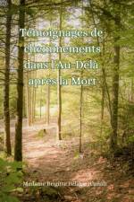 Temoignages de cheminements dans l'Au-dela apres la mort (couverture rigide) af Madame Brigitte Pélagie