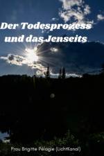 DER TODESPROZESS UND DAS JENSEITS  HARDC af MADAME BRIG P LAGIE