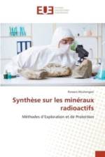 Synthese sur les mineraux radioactifs af Romain Mushengezi