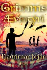 Fjaðrirnar þrjár af Grimmsbræður