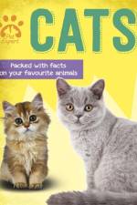 Pet Expert: Cats af Gemma Barder