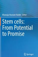 Stem cells: From Potential to Promise