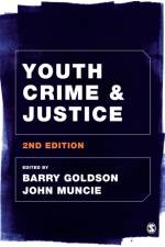 Youth Crime and Justice