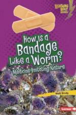 How Is a Bandage Like a Worm? af Walt Brody