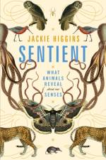 Sentient af Jackie Higgins