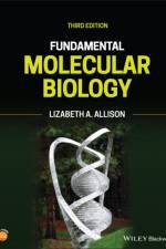 Fundamental Molecular Biology af Lizabeth A. (College of William and Mary Allison