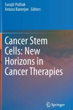 Cancer Stem Cells: New Horizons in Cancer Therapies