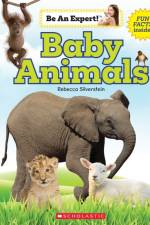 Baby Animals (Be an Expert!) af Rebecca Silverstein