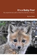 It's a Baby Fox! af Joe Shaw