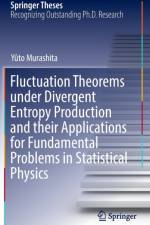 Fluctuation Theorems under Divergent Entropy Production and their Applications for Fundamental Problems in Statistical Physics af Yûto Murashita