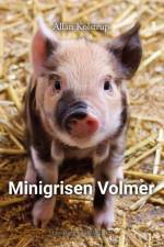 Minigrisen Volmer