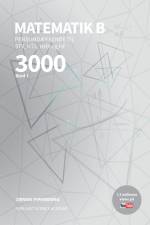 Matematik 3000 B Niveau af Dennis Pipenbring