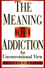 The Meaning of Addiction af Stanton Peele
