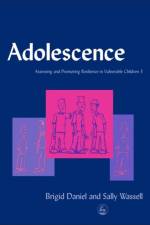 Adolescence af Sally Wassell