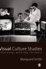 Visual Culture Studies