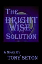 The Bright Wise Solution af Tony Seton