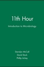 11th Hour af Darralyn McCall