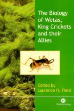 Biology of Wetas, King Crickets and their Allies