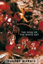 The Soul of the White Ant af Eugene N Marais