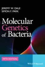 Molecular Genetics of Bacteria af Jeremy W. (University of Surrey Dale
