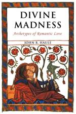 Divine Madness af John R Haule