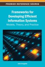Frameworks for Developing Efficient Information Systems