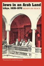 Jews in an Arab Land af Renzo De Felice
