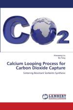 Calcium Looping Process for Carbon Dioxide Capture af Bo Feng