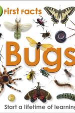 First Facts Bugs af DK