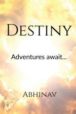 Destiny af Abhinav Mallam