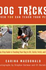 Dog Tricks Even You Can Teach Your Pet af Carina MacDonald