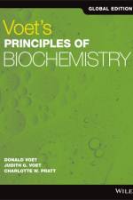 Voet's Principles of Biochemistry, Global Edition af Donald (University of Pennsylvania) Voet