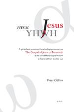 Jesus versus YHWH af Peter Gillies