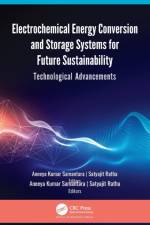 Electrochemical Energy Conversion and Storage Systems for Future Sustainability