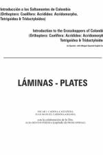 Introduccion a los saltamontes de Colombia (Laminas-Plates) af Juan Manuel Cardona-Granda