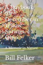 A Daybook for December in Yellow Springs, Ohio af Bill Felker
