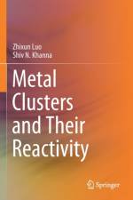Metal Clusters and Their Reactivity af Zhixun Luo