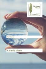 La bille bleue af Nazir Hamad