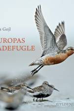 Europas vadefugle af Lars Gejl