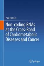 Non-coding RNAs at the Cross-Road of Cardiometabolic Diseases and Cancer