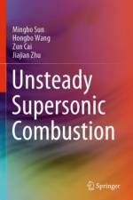 Unsteady Supersonic Combustion af Mingbo Sun