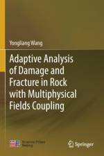 Adaptive Analysis of Damage and Fracture in Rock with Multiphysical Fields Coupling af Yongliang Wang